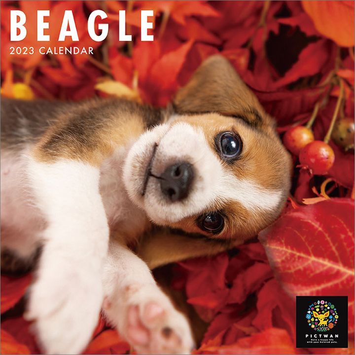 Yesasia Beagle Calendar Japan Version Photo Poster Calendar