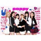 POPPY  (SINGLE+DVD) (First Press Limited Edition) (Japan Version)