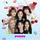 POPPY  (SINGLE+DVD) (通常盤初回プレス)(日本版)