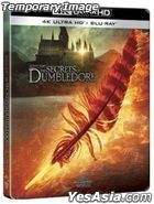 Fantastic Beasts: The Secrets of Dumbledore (2022) (4K Ultra HD + Blu-ray) (Hong Kong Version)