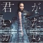Kimi ga Itakara (SINGLE+DVD) (First Press Limited Edition)(Japan Version)