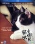 Cats Don't Come When You Call (2016) (Blu-ray) (English Subtitled) (Hong Kong Version)