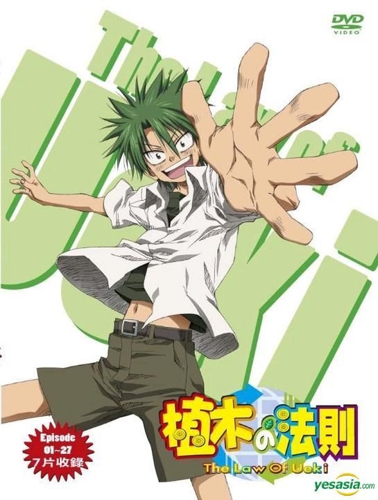 贅沢品 植木 植物 観葉植物 インテリア 住まい 小物 Belvtor By