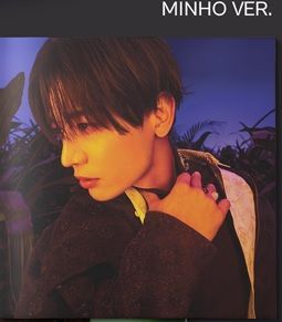 SHINee ミニマルズ 2025年最新】ミニマルズの人気アイテム - メルカリ