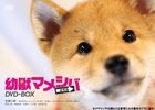 Drama 'Youju Mameshiba Bokyo Hen' DVD Box (DVD)(Japan Version)
