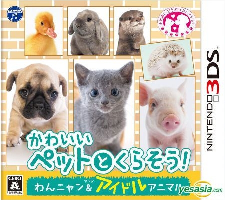 Game Wan Nyan Pet Shop: Kawaii Pet to Fureau Mainichi Nintendo Switch -  Meccha Japan