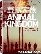 Animal Kingdom (DVD) (The Complete First Season) (Taiwan Version)