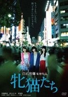 Dawn of the Felines (DVD) (Japan Version)