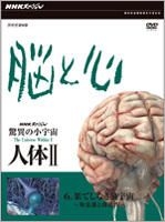 NHKスペシャル 驚異の小宇宙 人体Ⅱ 脳と心 DVD-BOX〈6枚組〉 NHKスペシャル 驚異の小宇宙 人体II 脳と心 DVD-BOX 全6枚（新価格