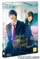 My Heart Beats Because of You (DVD) (Korea Version)