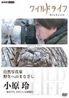 Wild Life Shizen Shashinka Yasei e no Manazashi Ohara Rei  (DVD) (Japan Version)