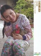 金孫 (DVD) (雙碟精裝版) (台灣版) 