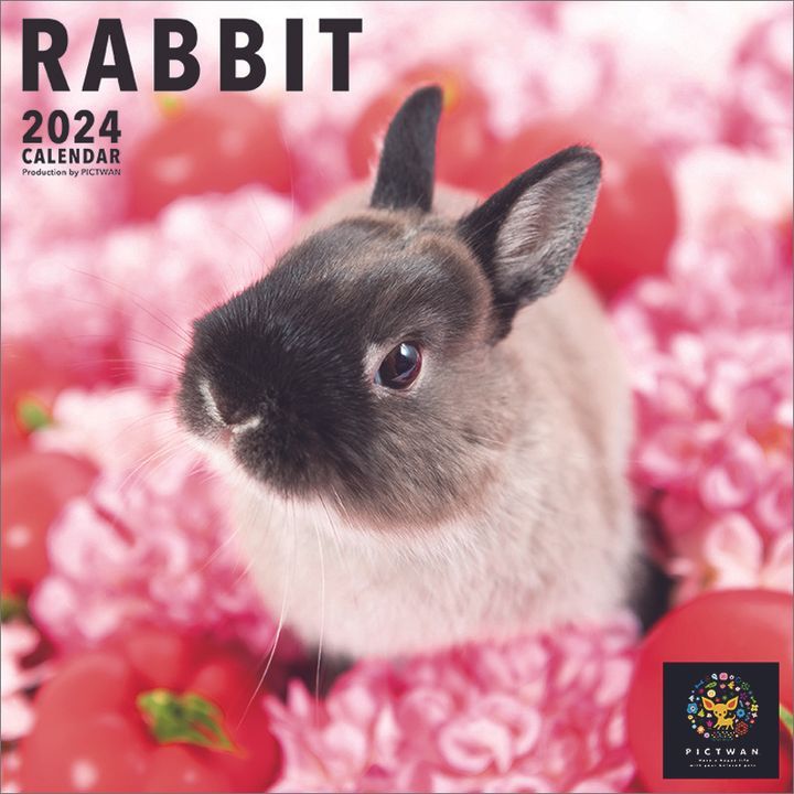 YESASIA THE RABBIT 2024 Calendar (Japan Version) CALENDAR,PHOTO/POSTER