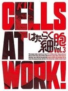 Cells At Work! Vol.3 (DVD) (Japan Version)