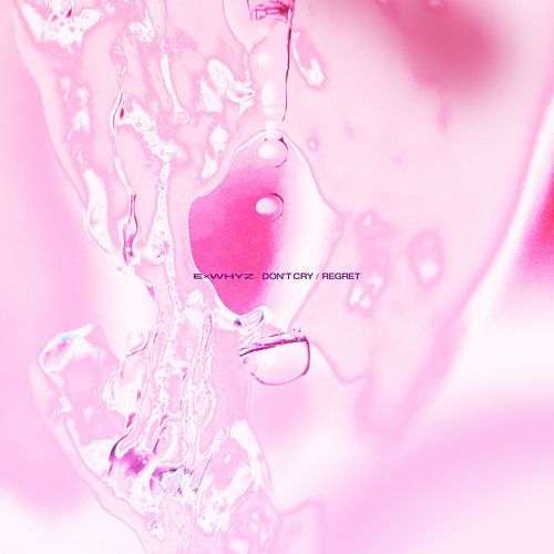 ☆Price PLS!! ☆HOWtoCRY (JPN ver) YESASIA: DON'T CRY (Japan Version) Music - ExWHYZ - Japanese Music