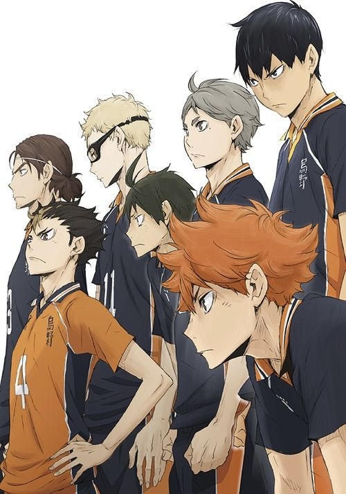 Haikyu Haikyuu!! Anime DVD Season 1 Collection 2