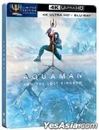Aquaman and the Lost Kingdom (2023) (4K Ultra HD + Blu-ray) (Steelbook) (Hong Kong Version)