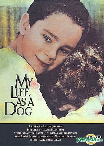 YESASIA: My Life As A Dog DVD - Anton Glanzelius, Tomas von Bromssen ...