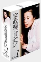Kaseifu wa Mita DVD Box 1 (DVD) (Japan Version)