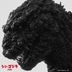 Shin Godzilla (Godzilla Resurgence) 音樂集 (日本版)
