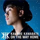 ON THE WAY HOME (ALBUM+DVD) (初回限定版)(日本版) 