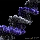 DNA (ALBUM+BLU-RAY)(Japan Version)
