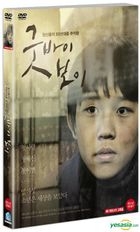 Boy (DVD) (韓國版)