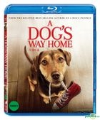 A Dog’s Way Home (Blu-ray) (Korea Version)