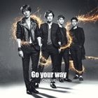 Go your way [Type A] (SINGLE+DVD) (First Press Limited Edition)(Japan Version)