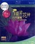 Lily Town (Blu-ray) (Hong Kong Version)