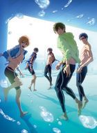 Free! -Road to the World Yume- (DVD) (Japan Version)