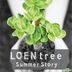 Loen Tree Summer Project Album - Summer Story