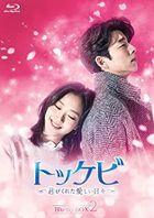 孤单又灿烂的神－鬼怪 (Blu-ray) (Box 2)  (日本版)