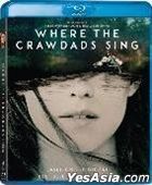 Where The Crawdads Sing (2022) (Blu-ray) (Hong Kong Version)
