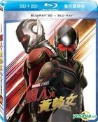 Ant-Man and the Wasp (2018) (Blu-ray) (2D + 3D) (Taiwan Version)