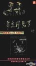 Zhong Guo Xiong Shi - Di San Ye Zhan Jun  Hua Dong Ye Zhan Jun  Dian Cang Ban (DVD) (China Version)