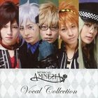 Musical AMNESIA Vocal Collection (Japan Version)