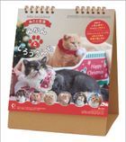 Life with Cats 2024 Desktop Calendar (Japan Version)