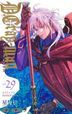 驱魔少年 29