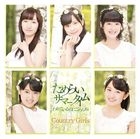 Wakatteirunoni Gomenne / Tamerai Summer Time [Type B](SINGLE+DVD) (First Press Limited Edition)(Japan Version)