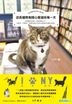 STORECATS IN NY
