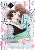 トツキトオカの切愛夫婦事情　３ / Ｂｅｒｒｙ’ｓ　ＣＯＭＩＣＳみ　３−３