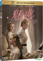 The Beguiled (2017) (Blu-ray) (Taiwan Version)