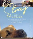 Stray (Blu-ray) (Japan Version)
