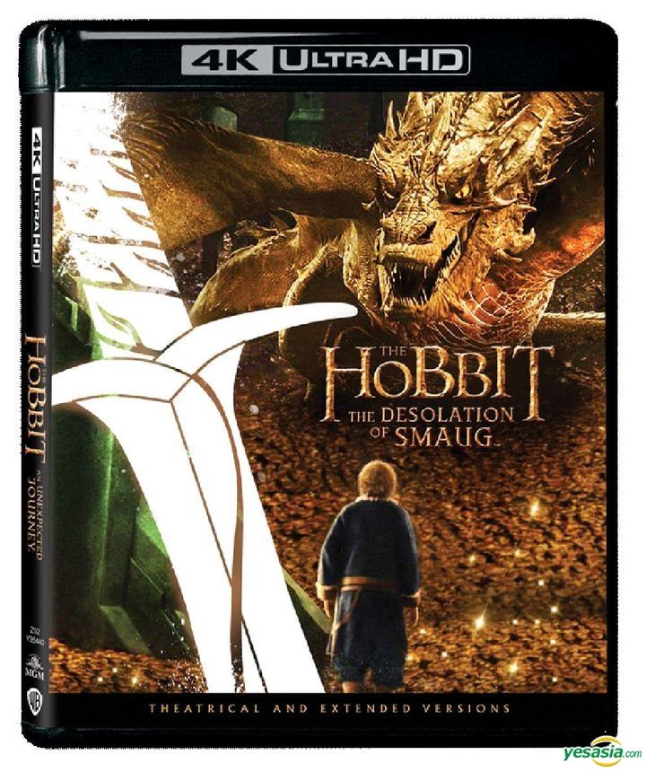 The Hobbit: The Desolation of Smaug download the last version for ipod