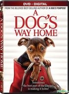 A Dog's Way Home (2019) (DVD + Digital) (US Version)