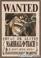 One Piece : Bounty 2,247,600,000 (208塊砌圖)(208-105)