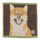 柴犬 小毛巾 (30x30cm)