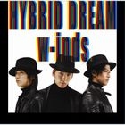 Hybrid Dream / Rain Is Fallin' (Jacket B)(SINGLE+DVD)(First Press Limited Edition)(Japan Version)