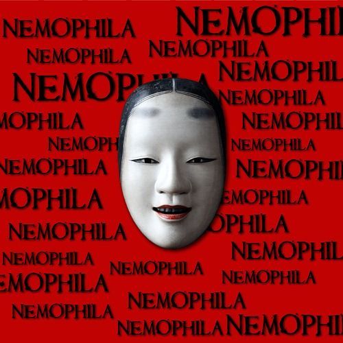 YESASIA: NEMOPHILA (First Press Limited Edition) (Japan Version
